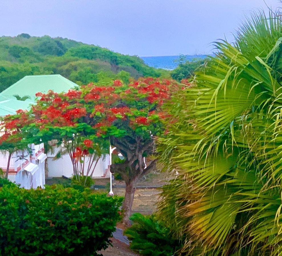Le Titouloulou 1023 Anse Des Rochers Saint-Francois  Extérieur photo